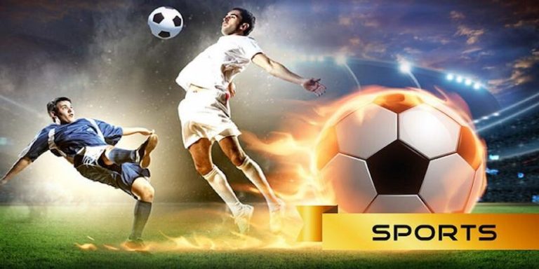5 bet Descubra o vibrante mundo dos esportes online em